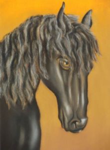 Voir le détail de cette oeuvre: tête de cheval noir