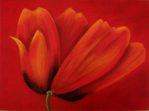 Voir le détail de cette oeuvre: tulipe sur rouge